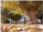 甘肅酒泉公園