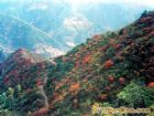 王屋山風景區