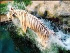紅山森林動物園