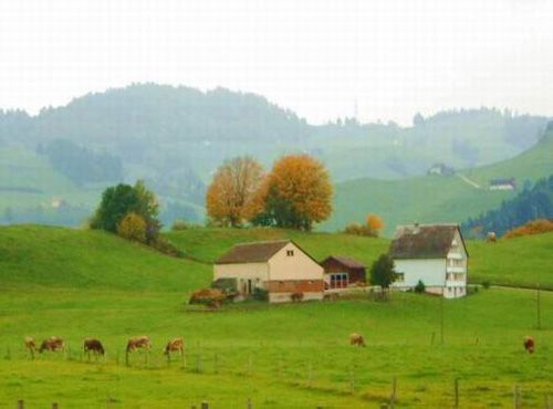 瑞士的秋天圖片