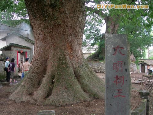 牯牛降石台境內圖片