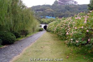 洞庭東山圖片