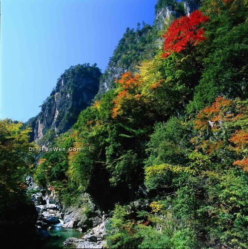 湖北神農架紅坪景區圖片