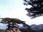 徂徠山
