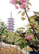 光福塔圖片