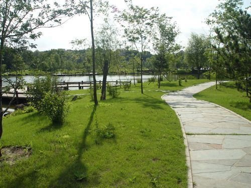 淨月潭國家森林公園圖片