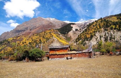 西藏米堆冰川圖片