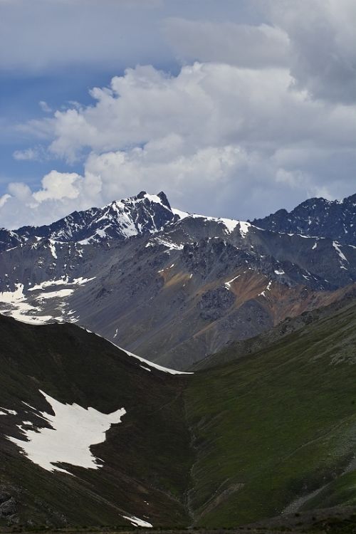 新疆伊犁喬爾瑪風光圖片