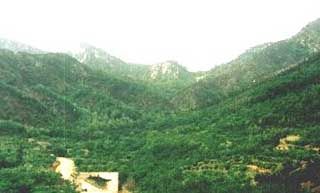 大青山風景區圖片