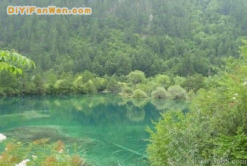 四川火花海圖片