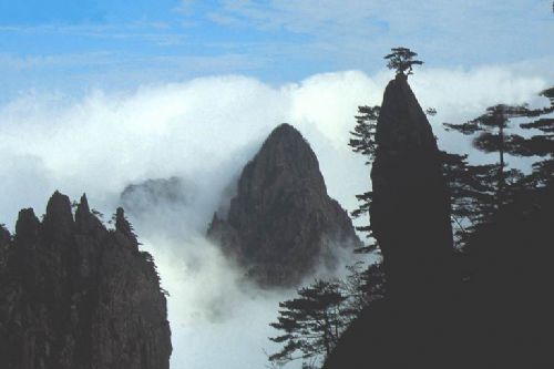 黃山圖片