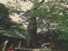 徐州白雲洞