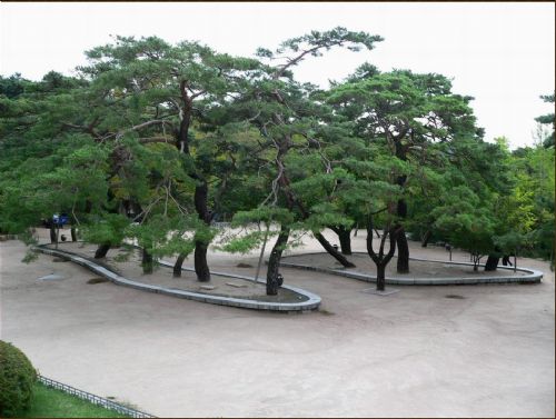 韓國慶州佛國寺圖片
