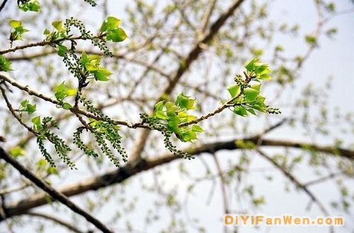 錦州風光圖片