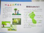 低碳生活手抄報：低碳準則