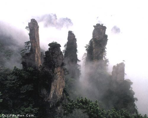 天子山風情圖片