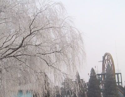 九龍遊樂園圖片