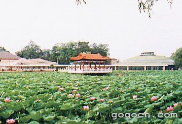 湯崗子溫泉圖片
