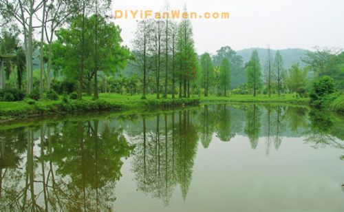南寧良鳳江國家森林公園圖片