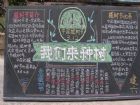 植樹節黑板報：名貴樹木——金花茶