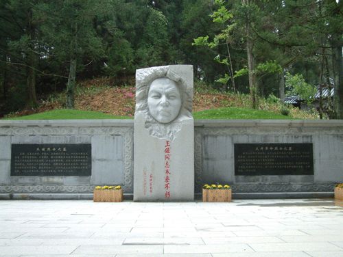 大井圖片