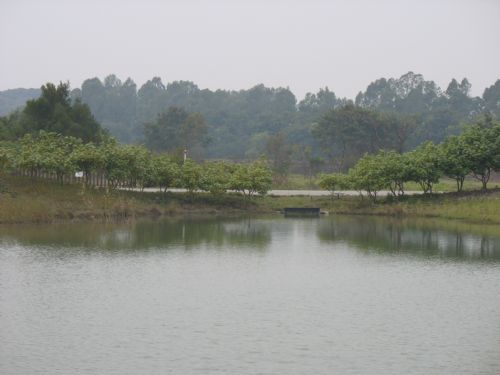 香港濕地公園圖片