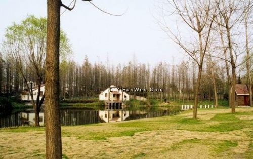 共青森林公園圖片