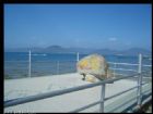 海南西島