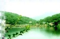 珍珠泉圖片