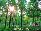 西山森林公園圖片