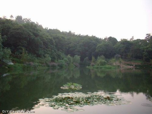 嶽麓山圖片