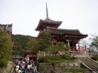 金閣寺