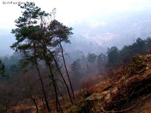 煙雨圌山圖片