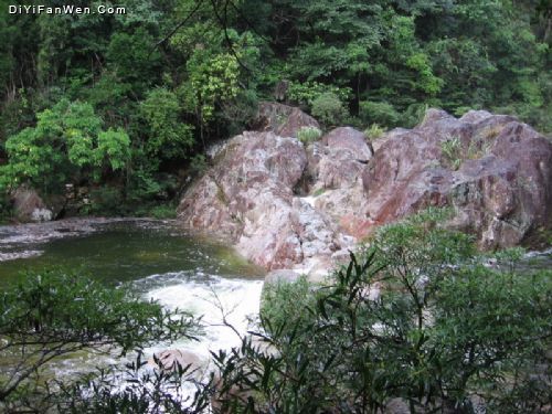 十萬大山國家森林公園圖片