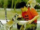 北京瀕危動物中心