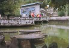 五泉山公園圖片