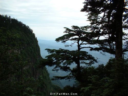 四川瓦屋山圖片