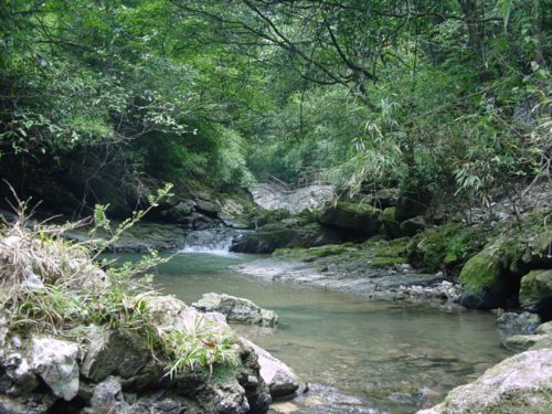 黑山谷生態旅遊區圖片