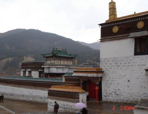 拉卜楞寺圖片