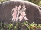 龍巖梅花山風景
