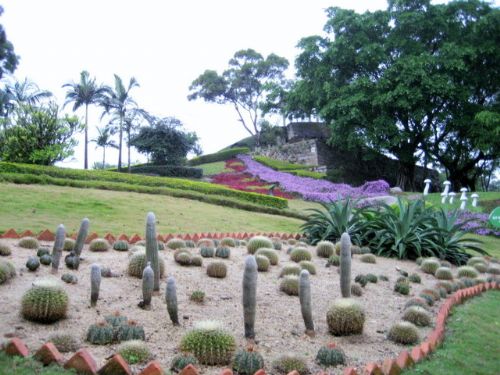 廈門萬石植物園圖片
