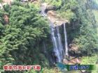 蜀南竹海