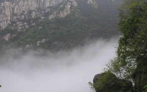 安徽馬仁奇峰森林圖片