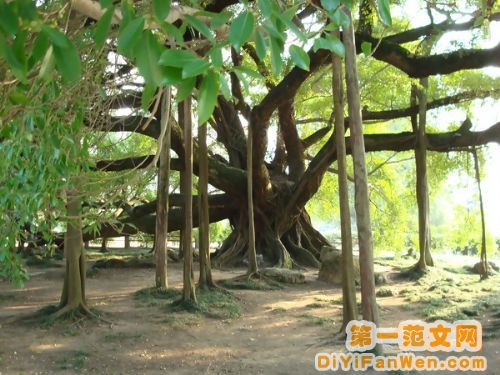桂林陽朔圖片