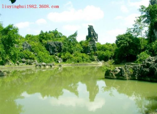 廣西左江石景林圖片