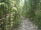共青森林公園