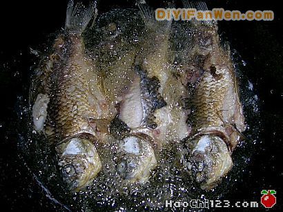 瘦腹湯[多圖]