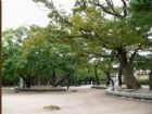 韓國慶州佛國寺