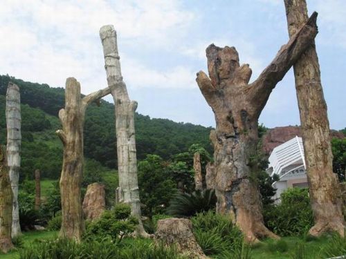 廣東仙湖植物園圖片