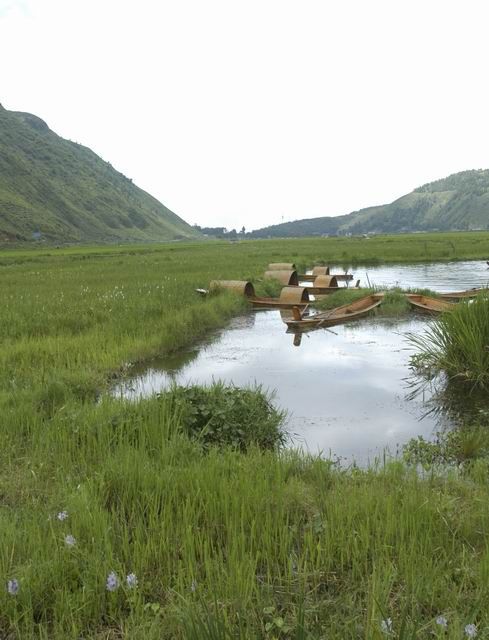 雲南騰衝北海濕地圖片